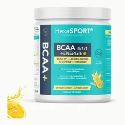 BCAA 4:1:1, Hexa3